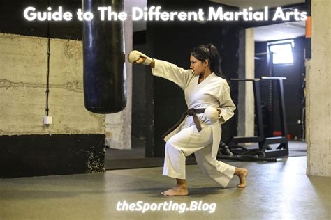 Which Martial Art Is Right for Me? Quiz: A Journey Through the Land of Martial Arts